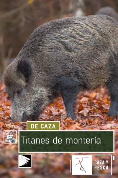 Titanes de montería