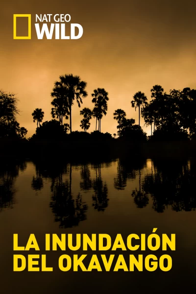 La inundación del Okavango