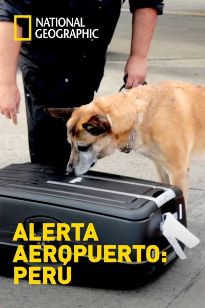 Alerta Aeropuerto