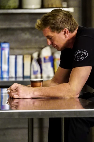 S.W.A.T.: Los Hombres de Harrelson. T(T1). S.W.A.T.: Los... (T1): Ep.7 Nos piramos