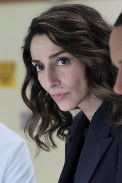 The Good Doctor. T(T1). The Good Doctor (T1): Ep.12 Islas. Segunda parte