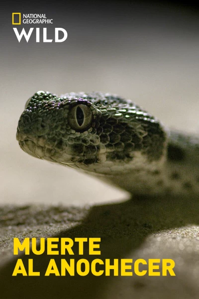 Muerte al anochecer