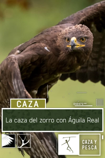 La caza del  zorro con Águila Real