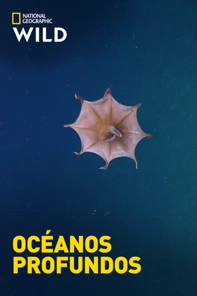 Océanos profundos