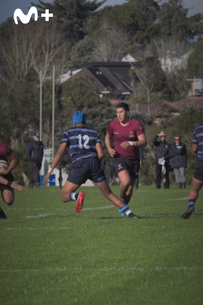 Historia del rugby. Historia del rugby: Un deporte profesional