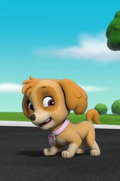 La patrulla canina. T(T5). La patrulla canina (T5): La patrulla salva una acampada congelada; La patrulla salva los pepinillos con burbujas