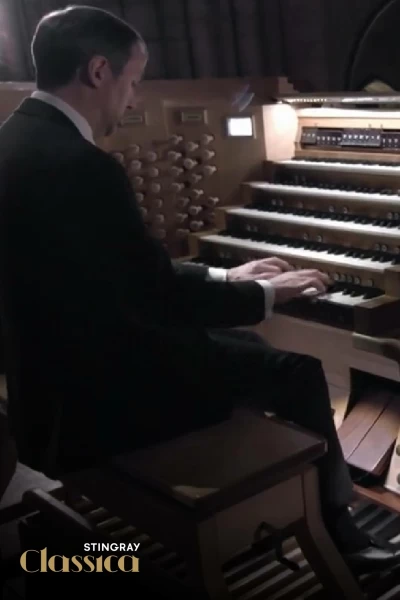 In the Organ's Stomach