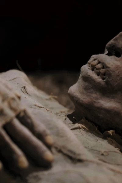 Momias al descubierto. Momias al descubierto: A la caza del asesino de Abraham Lincoln