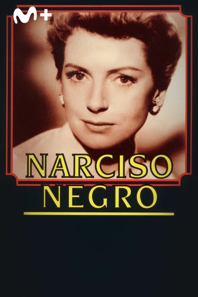 Narciso negro