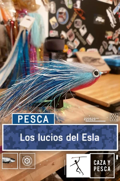 Los lucios del Esla