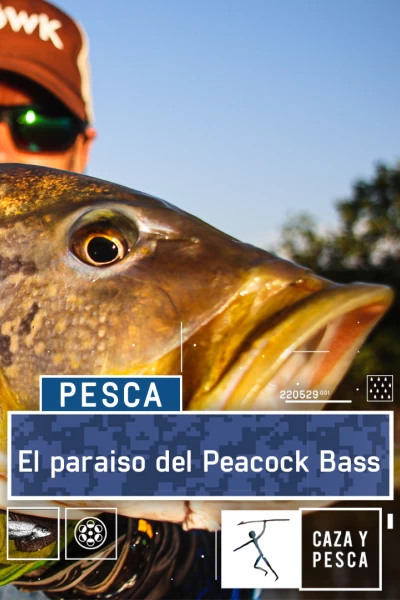 El paraíso del Peacock Bass