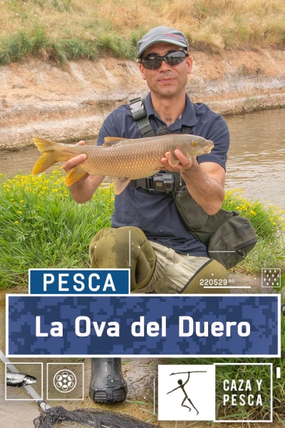 La ova del Duero