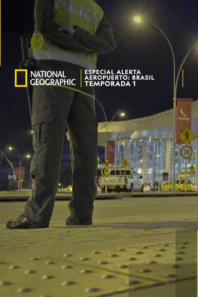 Especial Alerta Aeropuerto: Brasil