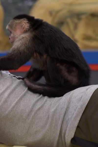 Equipo Danger. T(T2). Equipo Danger (T2): Ep.1 Un impostor entre nosotros