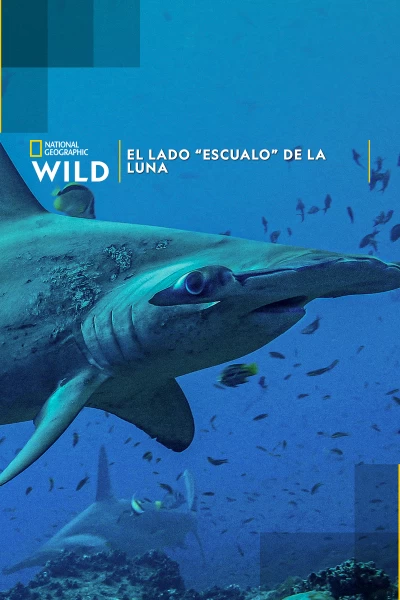 El lado 