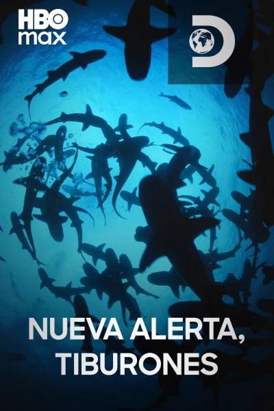 Nueva alerta, tiburones