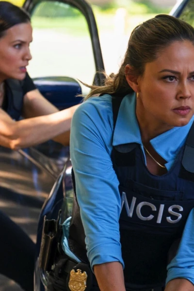 Navy: Investigación criminal. T(T20). NCIS: Naval... (T20): Ep.3 Desenterrando