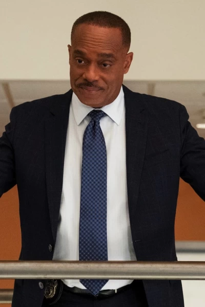 Navy: Investigación criminal. T(T20). NCIS: Naval... (T20): Ep.5 Guardian