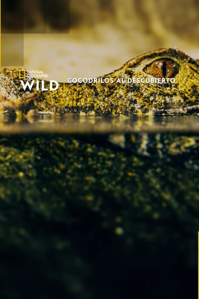 Cocodrilos al descubierto