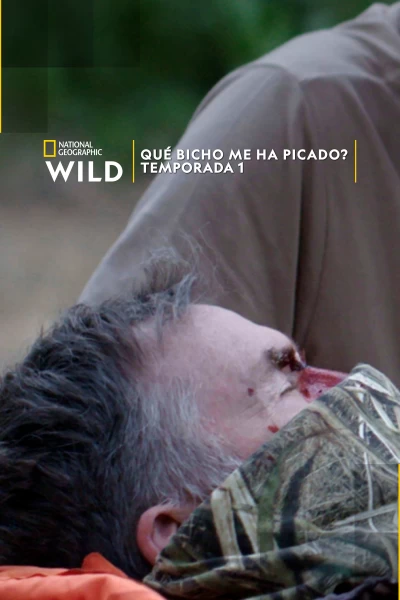 ¿Qué bicho me ha picado?