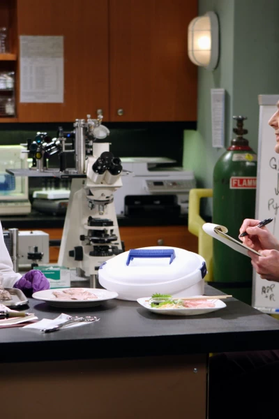 The Big Bang Theory. T(T4). The Big Bang Theory (T4): Ep.10 La hipótesis del parásito alienígena