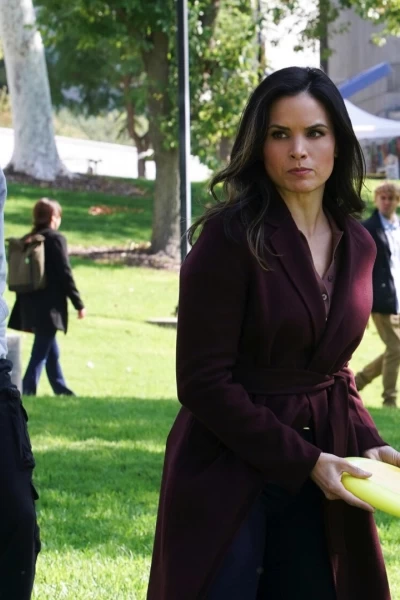 Navy: Investigación criminal. T(T20). NCIS: Naval... (T20): Ep.9 Navy: Investigación Criminal (20): Ep 2009