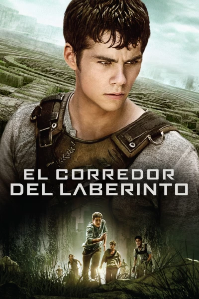 El corredor del laberinto
