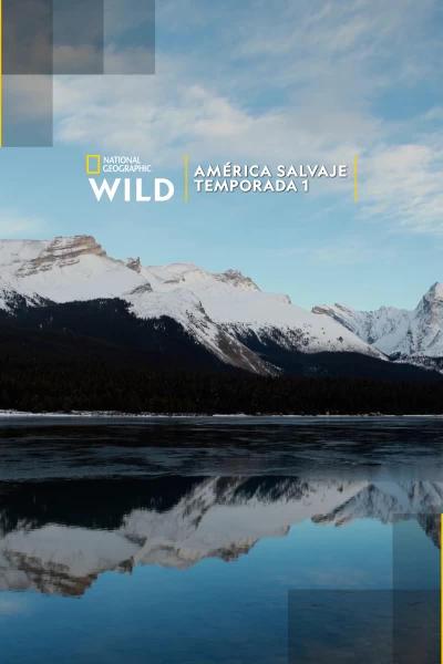 América salvaje