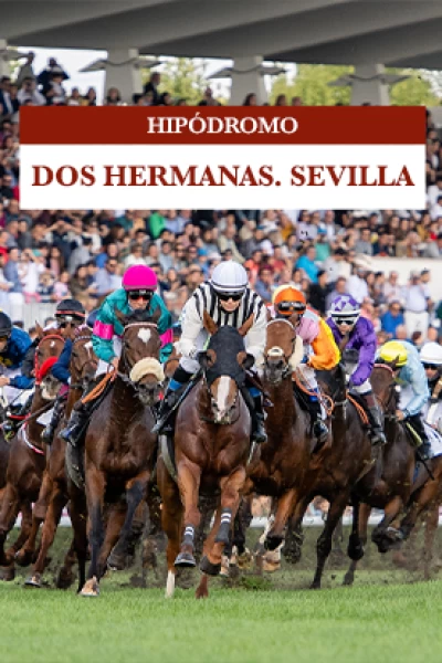 Hipódromo Dos Hermanas. Sevilla. T(2025). Hipódromo Dos... (2025): Jornada 7/12/2025