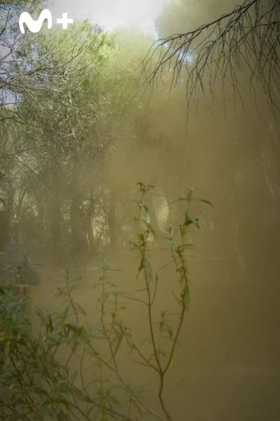 El internado. T(T7). El internado (T7): Ep.10 La última dosis