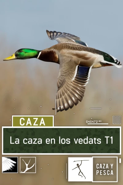 La caza en los Vedats