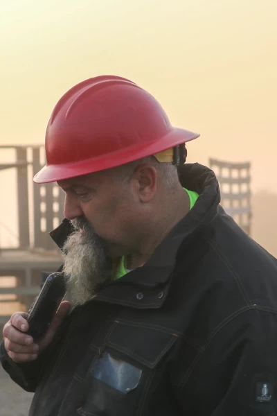 Los Hoffman: oro en las venas. T(T1). Los Hoffman: oro... (T1): El terrible caos de Todd