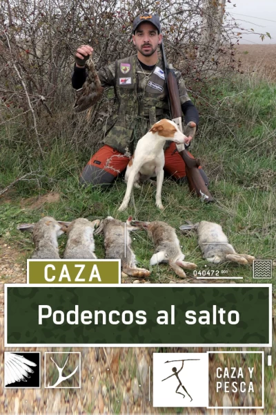 Podencos al salto