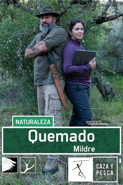 Quemado. T(T1). Quemado (T1): Mildred