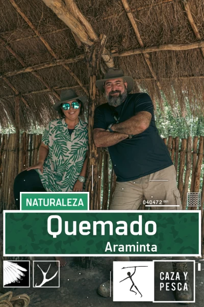 Quemado. T(T1). Quemado (T1): Araminta