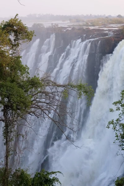 Fish Or Die. Fish Or Die: El ojo del pez tigre