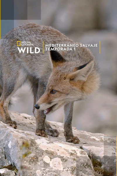 Mediterráneo salvaje