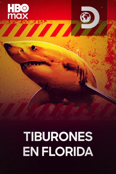 Tiburones en Florida