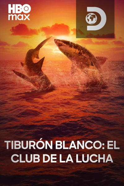 Tiburón blanco: el club de la lucha