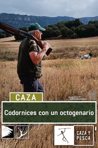 Codornices con un octogenario
