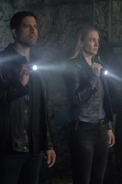 Mentes Criminales: Evolution. T(T17). Mentes... (T17): Ep.9 Barras y estrellas