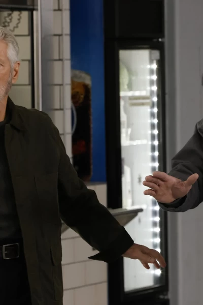 Ley y Orden: Crimen organizado. T(T4). Ley y Orden:... (T4): Ep.10 