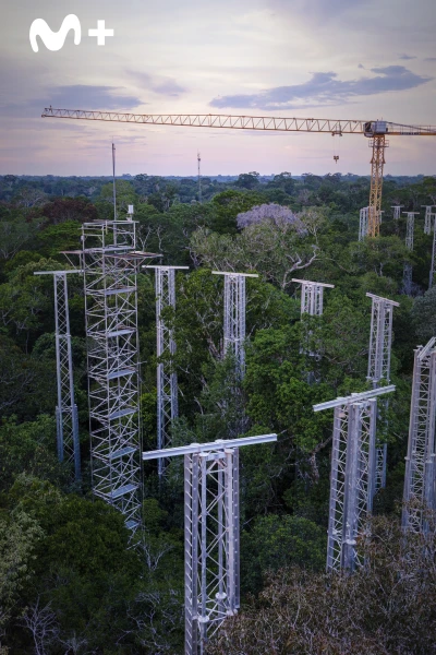 El futuro de la naturaleza. El futuro de la naturaleza: Bosques