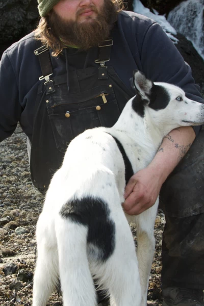 Bigfoot, asesino en Alaska. T(T1). Bigfoot, asesino... (T1): S.O.S.