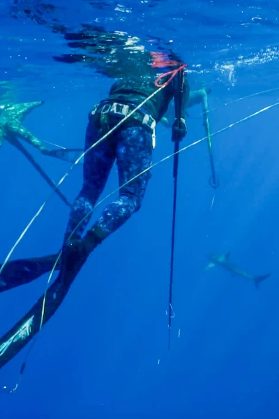 Apnea con David Ochoa. T(T1). Apnea con David... (T1): A bordo del Pacifico