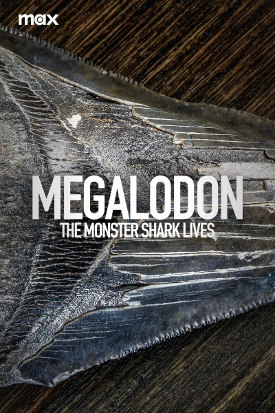 La leyenda del Megalodón