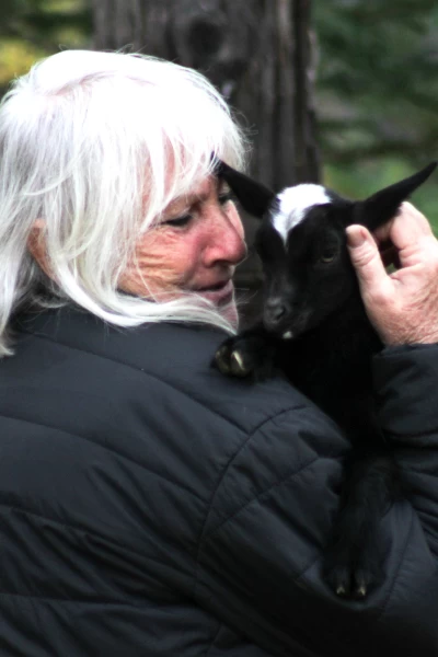 Sobrevivir en lo salvaje: el rancho Raney. T(T2). Sobrevivir en lo... (T2): Escalera al cielo