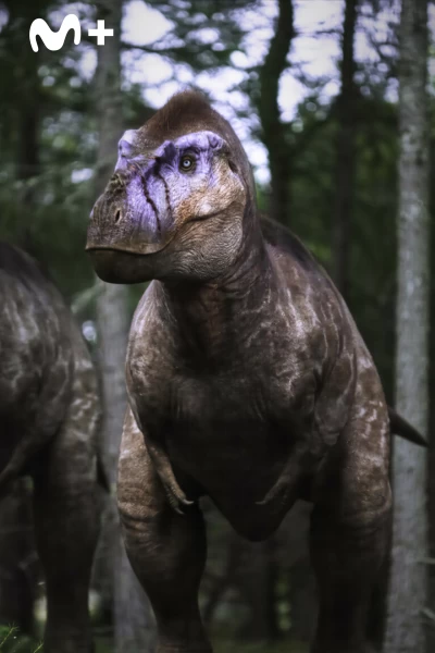 Caminando entre dinosaurios. Caminando entre...: Los hermanos Utahraptor