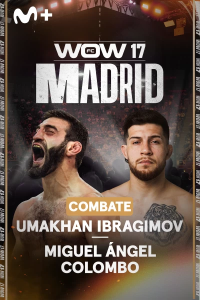 WOW. WOW: La última pelea de Ibragimov