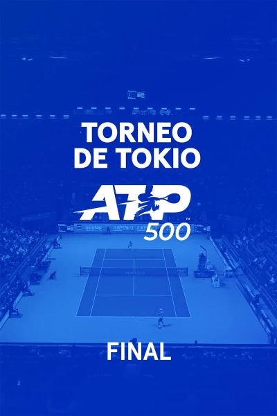 Final. Final: Alcaraz - Fritz